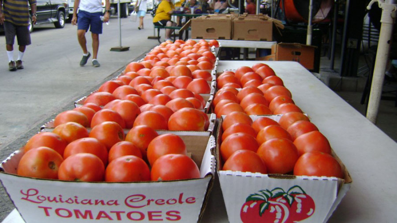 Creole Tomato Festival